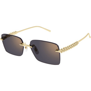 CARTIER CT0545S 001